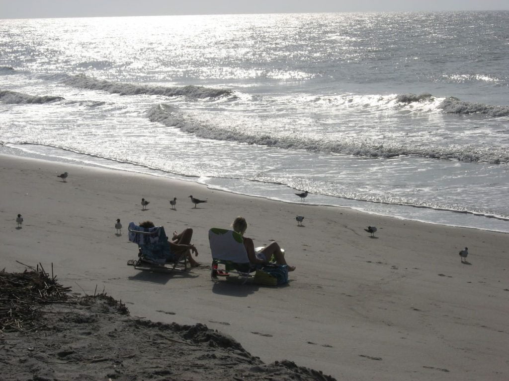 Dog-Friendly Destinations