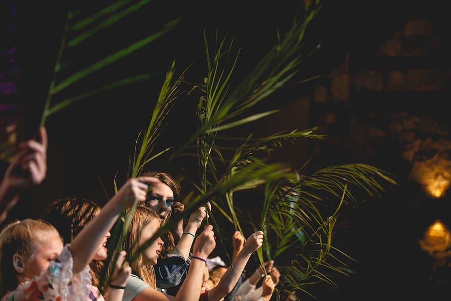 holy week in malaga- palm leaves