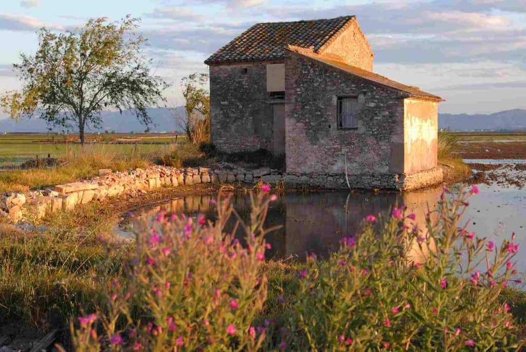 what to see in Valencia- Albufera Natural Park