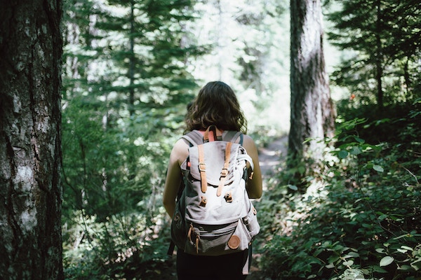 Girl with the backpack in the forest between green trees is going on a hike.