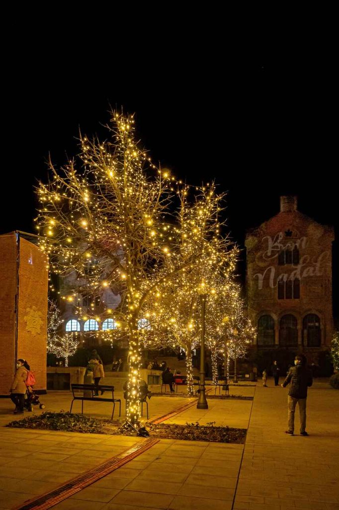 Christmas trees and decorations in Barcelona