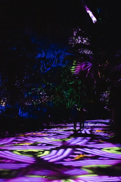 Malaga botanical gardens during holidays
