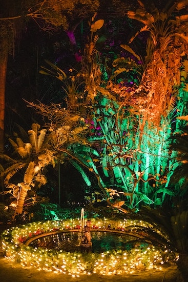 Botanical Garden decorations during holidays