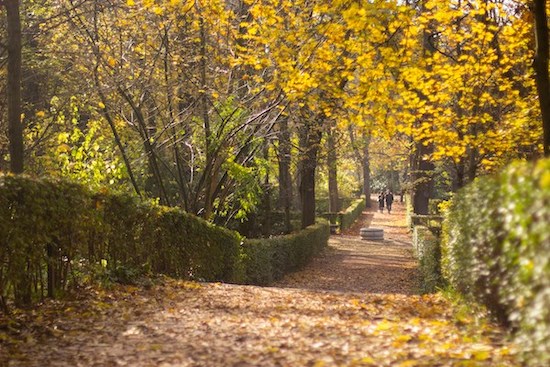 couple walking on El Retiro Park on Valentines Day in Madrid
