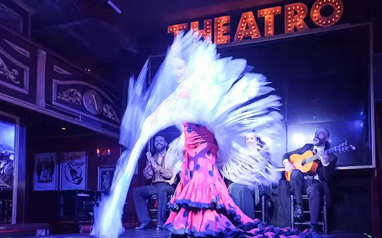 Live music flamenco show in malaga